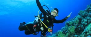 SJI-Scuba Diving Signals
